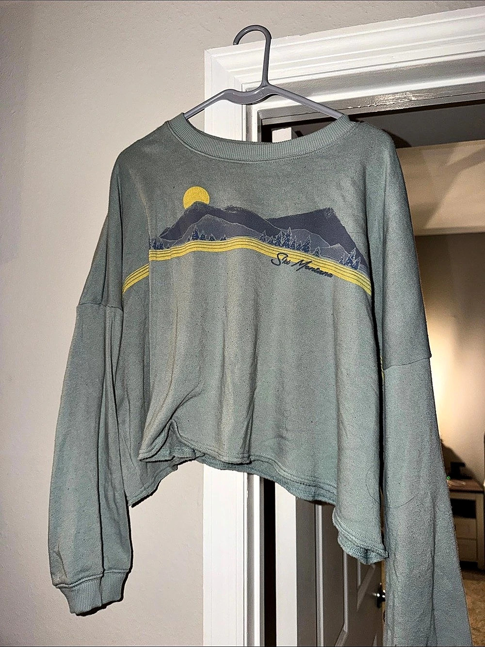 American Eagle Ski Montana Graphic Cropped Sweatshirt Green Medium